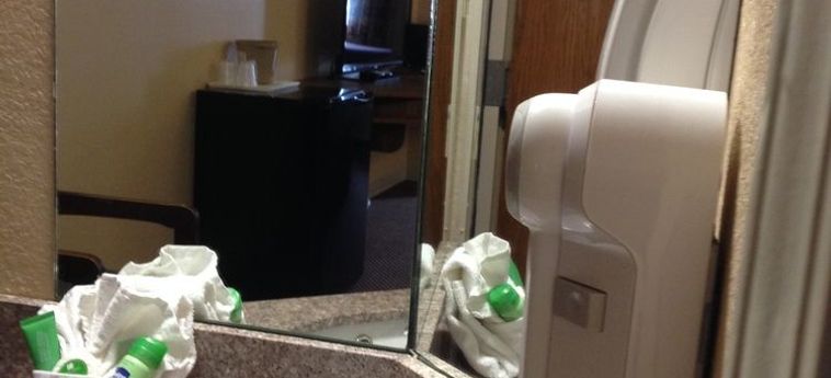 Guesthouse Inn Pigeon Forge Pigeon Forge (Tn): Foto 