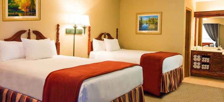 Hotel Wild Bear Inn:  PIGEON FORGE (TN)