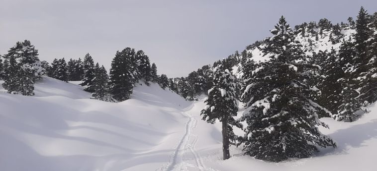 Hotel Sno Vall De Boi Pla De L'ermita : Photo 