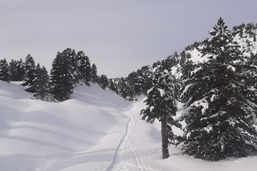 Hotel Sno Vall De Boi Pla De L'ermita: Photo 