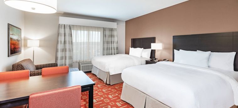 Hotel Towneplace Suites By Marriott Dallas Plano/richardson:  PLANO (TX)