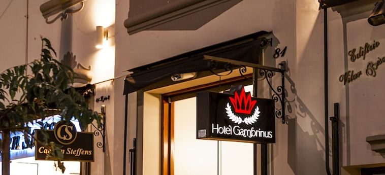 HOTEL GAMBRINUS 0 Estrellas