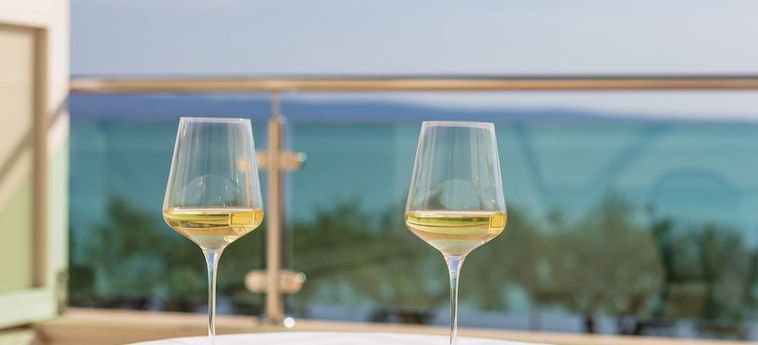 Hotel Villa Pitomcia  - Adults Only Podstrana - Dalmatie : Photo 