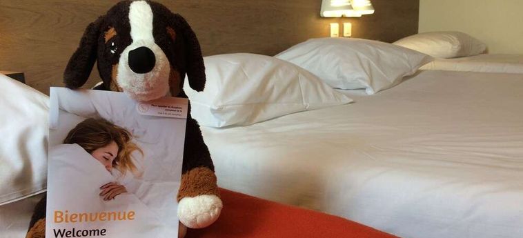 Ace Hotel Poitiers Poitiers: Foto 