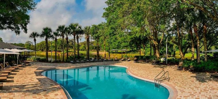 Hotel Sawgrass Marriott Resort &Amp; Spa Ponte Vedra Beach (Fl) : Photo 
