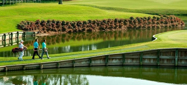 Hotel Sawgrass Marriott Resort &Amp; Spa Ponte Vedra Beach (Fl) : Photo 