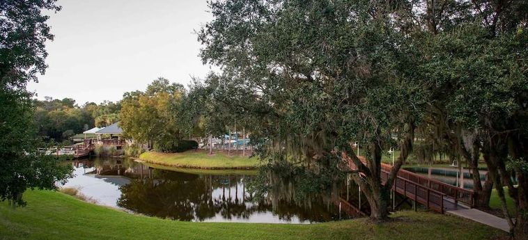 Hotel Sawgrass Marriott Resort &Amp; Spa Ponte Vedra Beach (Fl) : Photo 