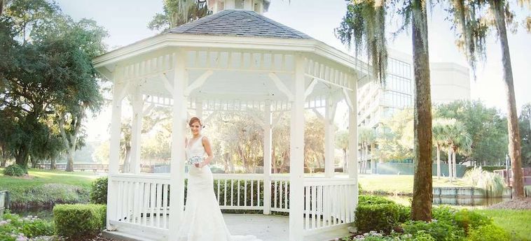 Hotel Sawgrass Marriott Resort &Amp; Spa Ponte Vedra Beach (Fl) : Photo 