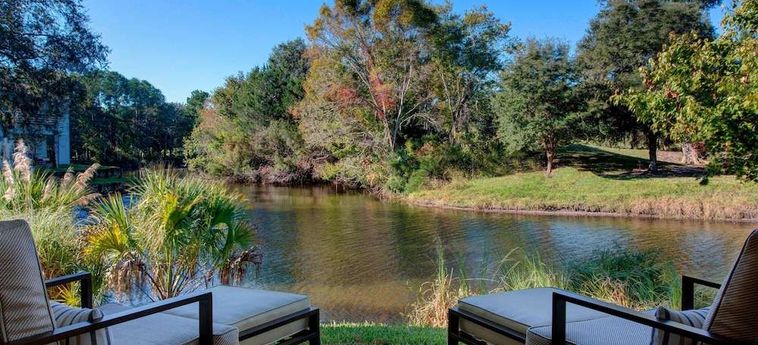 Hotel Sawgrass Marriott Resort &Amp; Spa Ponte Vedra Beach (Fl): Foto 
