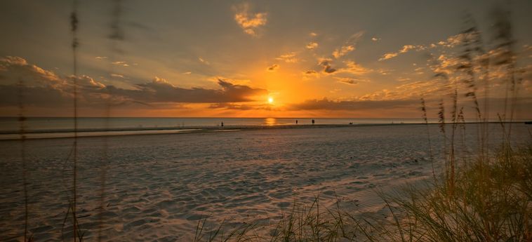 Hotel Seashell Ponte Vedra Beach (Fl) : Photo 
