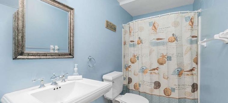 White Heron Beach House Ponte Vedra Beach (Fl) : Photo 