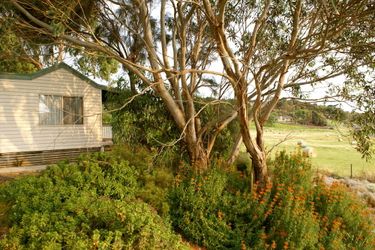 Hotel Daysy Hill Country Cottages:  PORT CAMPELL