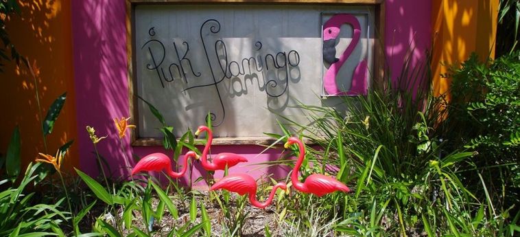 Hotel Pink Flamingo Resort:  PORT DOUGLAS - QUEENSLAND