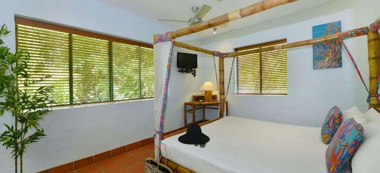 Hotel Club Tropical  Port Douglas - Queensland: Foto 