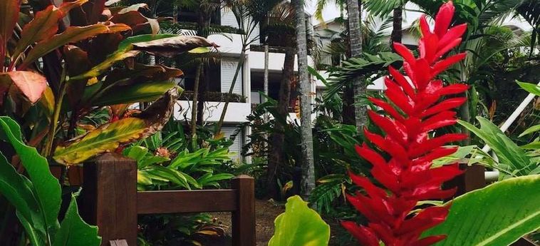 Hotel Club Tropical  Port Douglas - Queensland: Foto 
