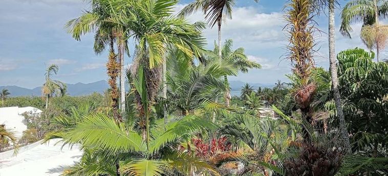 Hotel Club Tropical  Port Douglas - Queensland: Foto 