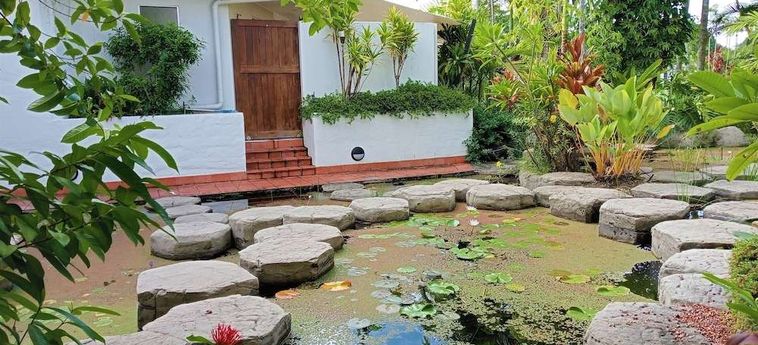 Hotel Club Tropical  Port Douglas - Queensland: Foto 