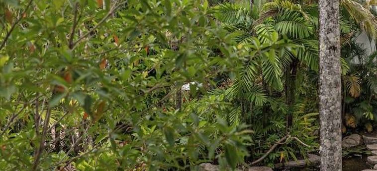 Hotel Club Tropical  Port Douglas - Queensland: Foto 