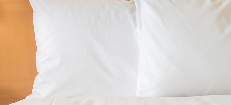 Hotel Holiday Inn Poughkeepsie Poughkeepsie (Ny) : Photo 
