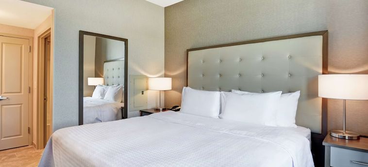 Hotel Homewood Suites By Hilton Poughkeepsie Poughkeepsie (Ny) : Photo 