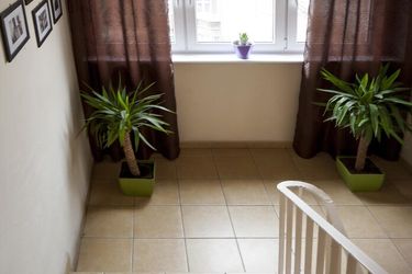 Very Berry Hostel Poznan: Photo 