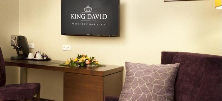 Hotel King David Prague:  PRAGA