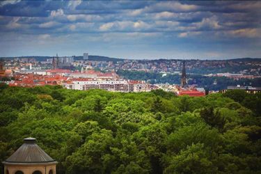 Hotel Don Giovanni Prague Prague: Photo 
