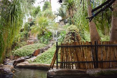 Waterfalls Boutique Hotel Pretoria: Photo 