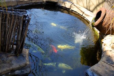 Waterfalls Boutique Hotel Pretoria: Photo 