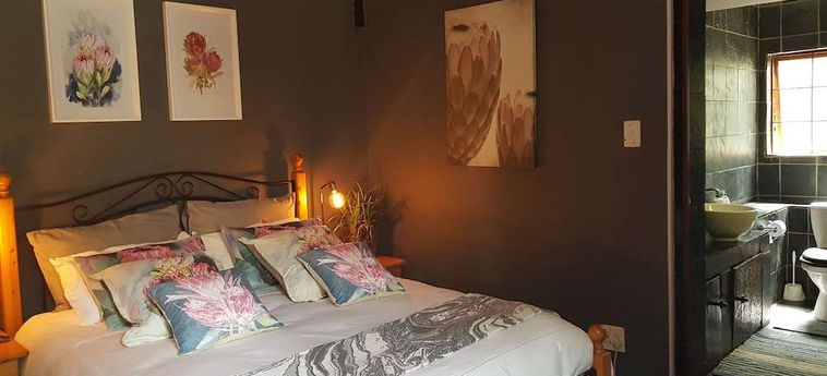Hotel 440 At Brooklyn Pretoria : Photo 
