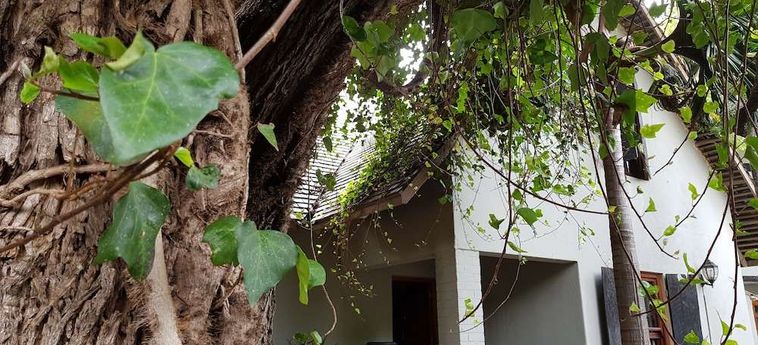 Hotel 440 At Brooklyn Pretoria: Foto 