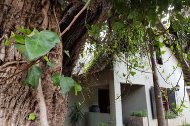 Hotel 440 At Brooklyn:  PRETORIA