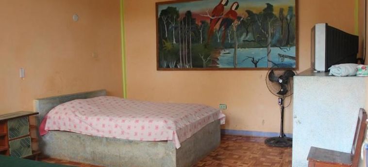 Hotel Hospedaje El Delfín:  PUCALLPA