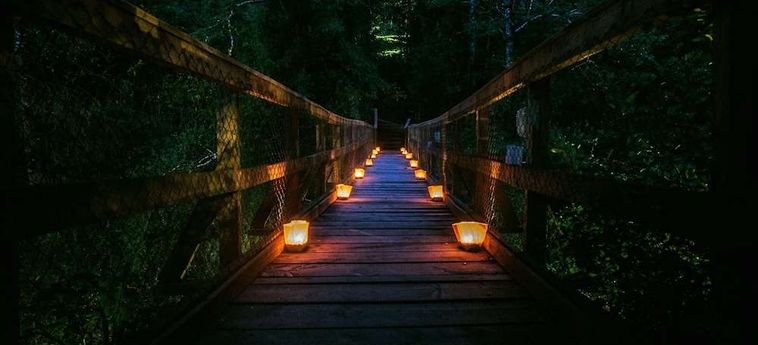 Hotel Termas De San Luis Pucon: Foto 