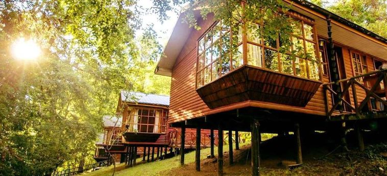 Hotel Termas De San Luis Pucon: Foto 