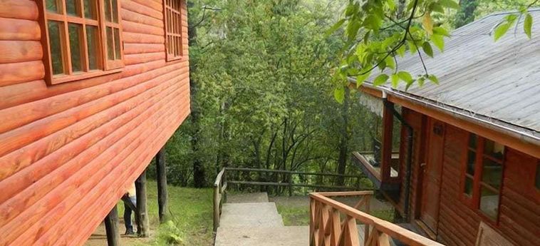 Hotel Termas De San Luis Pucon: Foto 