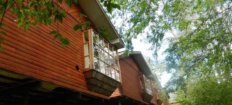 Hotel Termas De San Luis Pucon: Foto 