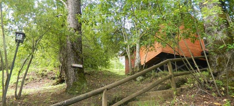 Hotel Termas De San Luis Pucon: Foto 
