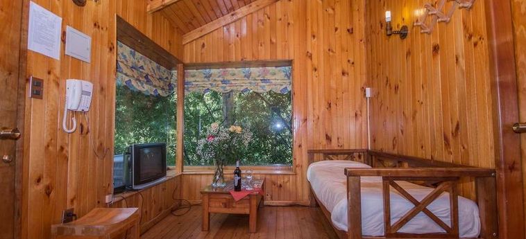 Hotel Termas De San Luis Pucon: Foto 