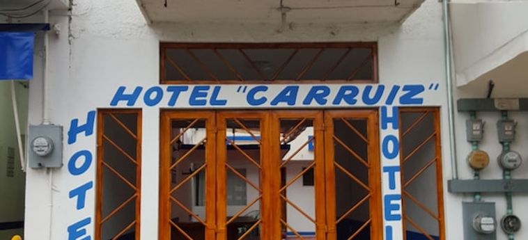 Hôtel HOTEL CARRUIZ