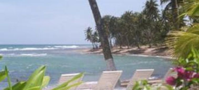 Hotel Caribe Playa Beach Resort:  PUERTO RICO
