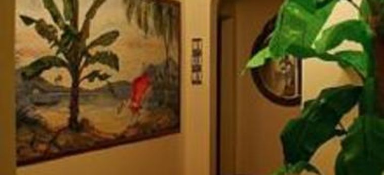 Acacia Boutique Hotel Puerto Rico : Photo 