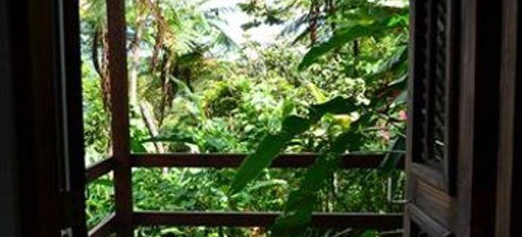 El Hotelito At The Rainforest Experience Farm:  PUERTO RICO