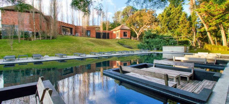 Oceana Suites Be House ∙ Suite 112:  PUNTA DEL ESTE