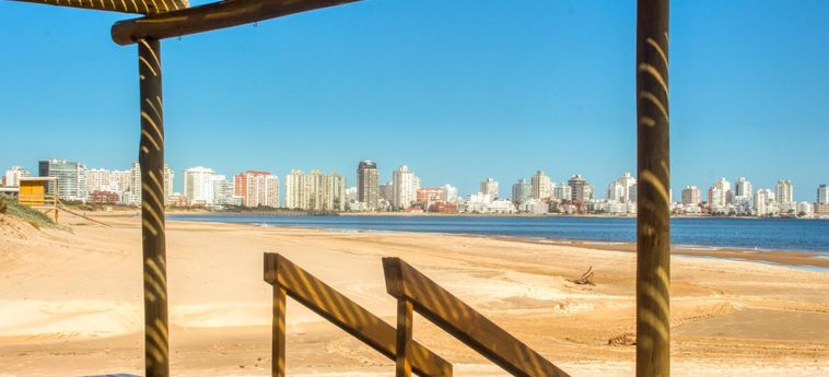 Hotel Oceana Suites Cairo ∙ Suite 302 Punta Del Este: Foto 