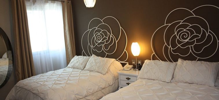Zarzarosa Hotel Boutique Queretaro: Foto 