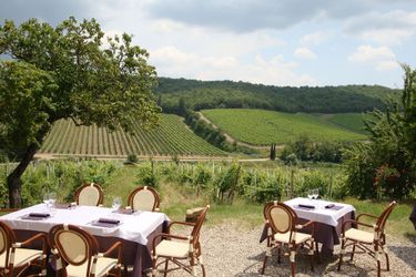 Hotel Le Vigne Radda In Chianti - Siena : Photo 