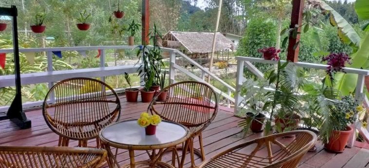 Hotel Kinabalu Poring Vacation Lodge:  RANAU