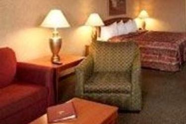 Hotel Holiday Inn Rapid City - Rushmore Plaza:  RAPID CITY (SD)