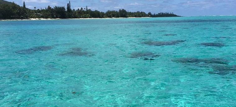 Jj's Retreat Rarotonga: Foto 